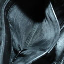 GUCCI Bamboo Shoulder Bag Leather 2way Black Gold 001 3444 1577 Auth 140164-11