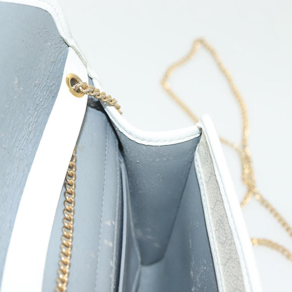 Christian Dior Honeycomb Canvas Chain Shoulder Bag PVC White Gold Auth 140166