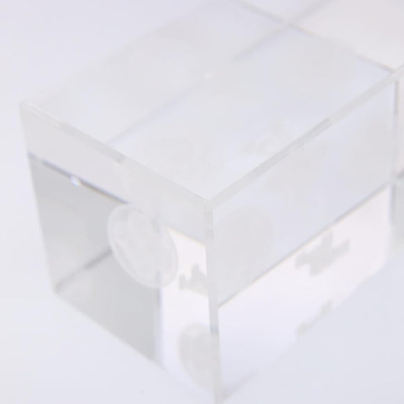 LOUIS VUITTON Paper weight Crystal glass Clear LV Auth 141182