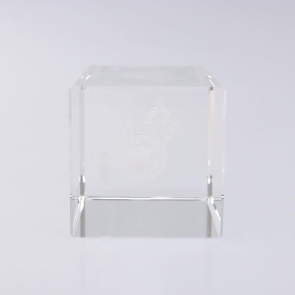 LOUIS VUITTON Paper weight Crystal glass Clear LV Auth 141182