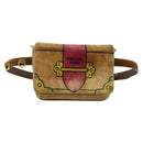 PRADA Chain Kaye Shoulder Bag Velor Beige Gold Auth 141360-2