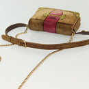 PRADA Chain Kaye Shoulder Bag Velor Beige Gold Auth 141360-7