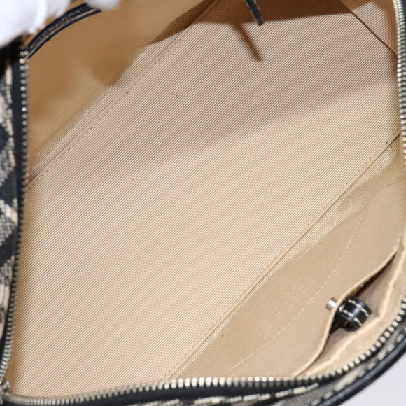 BURBERRY Nova Check Blue Label Hand Bag Canvas Black Silver Auth 141481