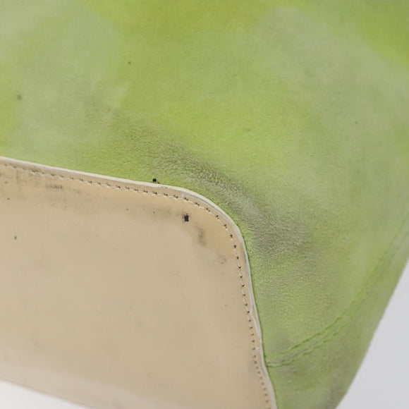 CELINE Hand Bag Suede Silver Light green Auth 141764