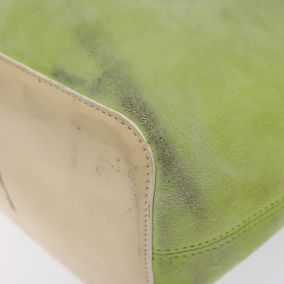 CELINE Hand Bag Suede Silver Light green Auth 141764