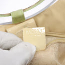 CELINE Hand Bag Suede Silver Light green Auth 141764-12