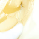 LOUIS VUITTON Monogram Sac Shan 40 Pet Carry Vintage M42024 LV Auth 141779-21