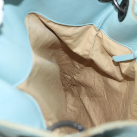 BOTTEGA VENETA Shoulder Bag Leather Light Blue 115778 Auth 141815