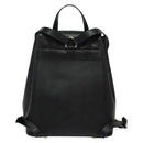 CELINE Backpack Leather Black Gold Auth 141872-2