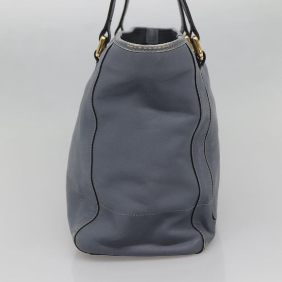 LOEWE Anagram Tote Bag Leather Purple Gold Auth 141948