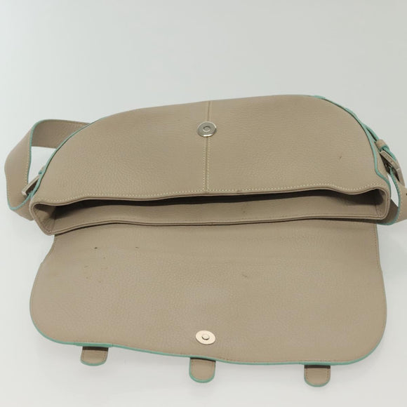 LOEWE Shoulder Bag Leather Beige Silver Auth 141961V