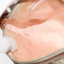 Christian Dior Trotter Canvas Romantic Shoulder Bag PVC Beige Silver Auth 142116-19