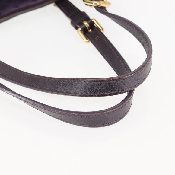 LOUIS VUITTON Eyeall Cabas PM Promenade Bag Canvas Purple M93771 LV Auth 142935