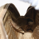 PRADA Hand Bag Leather 2way Gold Auth 142998-22