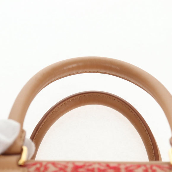 LOEWE Amazonas 23 Hand Bag Canvas Leather Beige Gold Auth 144410M