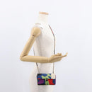 CHANEL Chain Shoulder Bag Canvas Multicolor Silver CC Auth 145585V-25