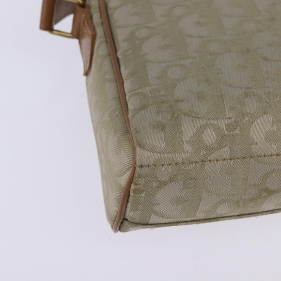 Christian Dior Trotter Canvas Shoulder Bag Gold Beige Auth 145961