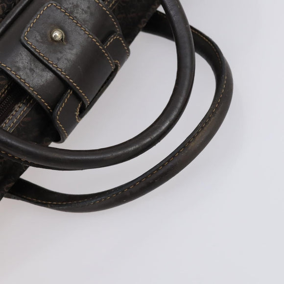 LOEWE Trunk Canvas Leather Dark Brown Gold Auth 146599