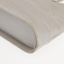 CHANEL Hand Bag Nylon Gray CC Auth 146688-16