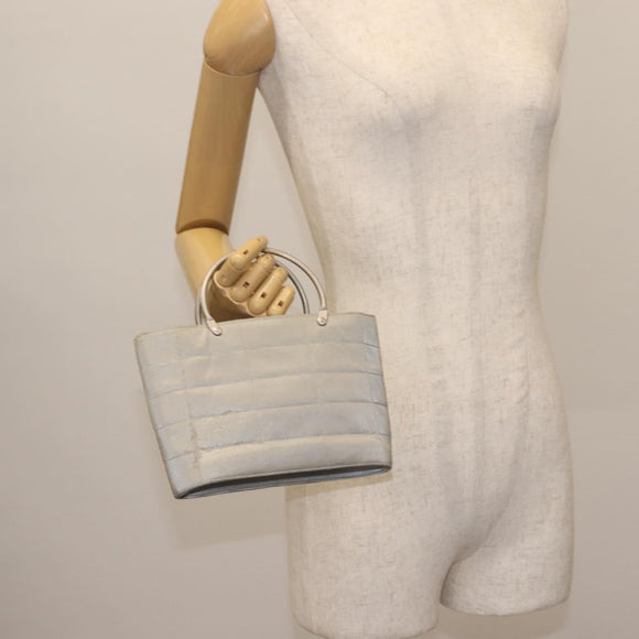 CHANEL Hand Bag Nylon Gray CC Auth 146688