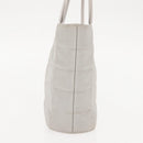 CHANEL Hand Bag Nylon Gray CC Auth 146688-4