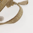 PRADA Chain Hand Bag Nylon Beige Gold Auth 146709-14