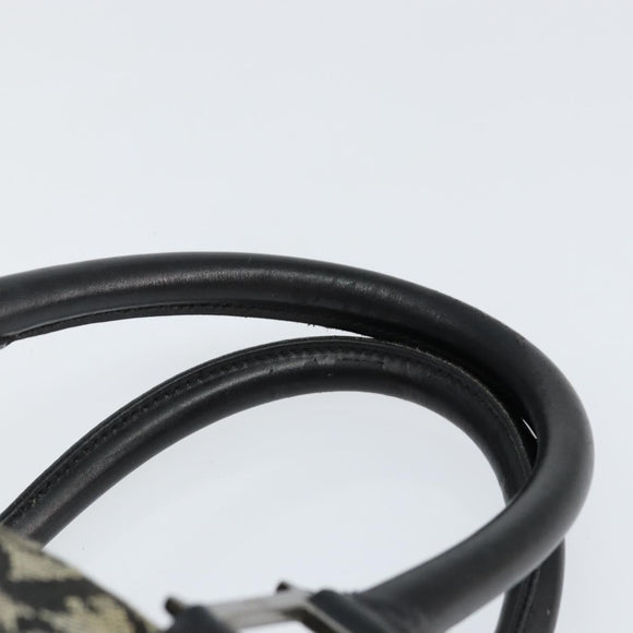 Christian Dior Trotter Canvas Mini Boston Bag Black Silver Auth 146933