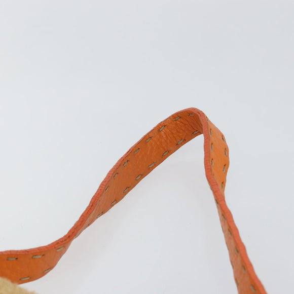 FENDI Celeria Mamma Baguette Shoulder Bag Raffia Beige Silver Auth 146952