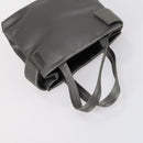 PRADA Hand Bag Nylon 2 Set Gray Brown Auth 147229-13