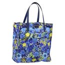 PRADA Tote Bag Nylon Leder Blau Silber Auth 147405-1
