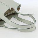 CELINE Trillodo Hand Bag Leather Light Blue Gold Auth 148596M-7