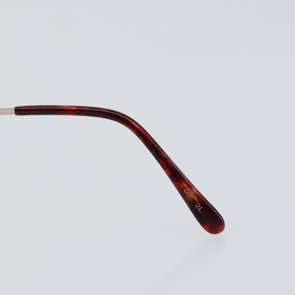 CELINE Glasses plastic Clear Auth 148980