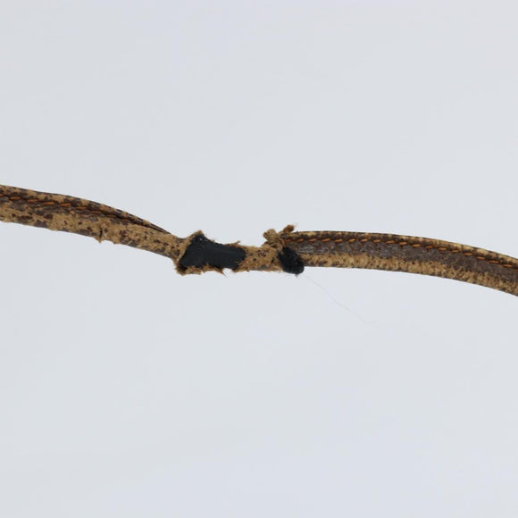 GUCCI GG Supreme Web Sherry Line Bag PVC Beige Gold 904 02 047 Auth 149187