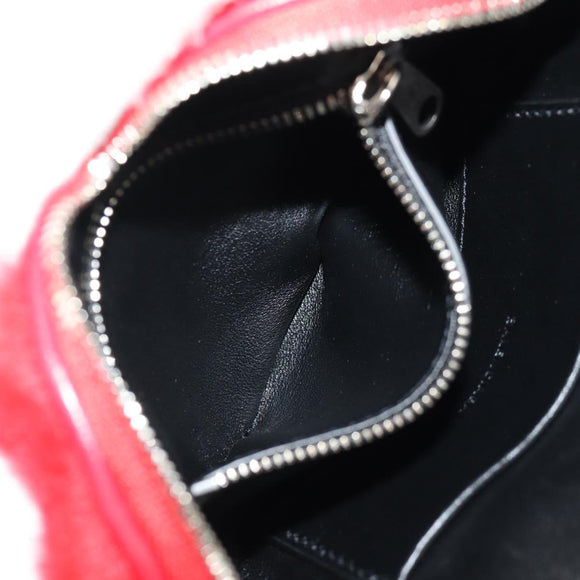 BALENCIAGA Shoulder Bag Fur Rainbow 677903 Auth 149218SM