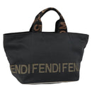 FENDI Hand Bag Nylon Black Auth 149492-1
