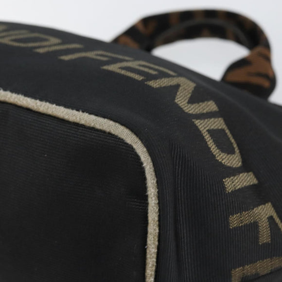 FENDI Hand Bag Nylon Black Auth 149492