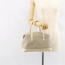 LOEWE Hand Bag Canvas Gray Auth 149622-23