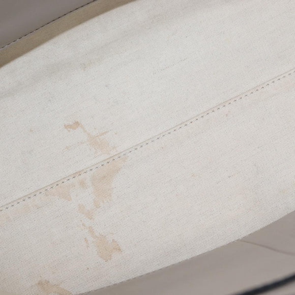 BURBERRY Medium Belt Bag Hand Bag Canvas 2way Beige Silver Auth 149727