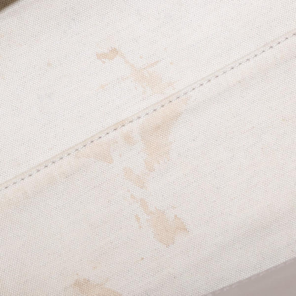 BURBERRY Medium Belt Bag Hand Bag Canvas 2way Beige Silver Auth 149727