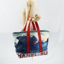 CHANEL Surfline Tote Bag Canvas Blue White CC Auth 150551-21