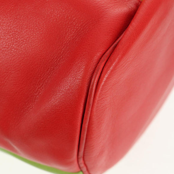 CELINE Shoulder Bag Leather Multicolor Gold Auth 150568