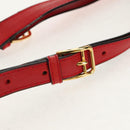 CELINE Shoulder Bag Leather Multicolor Gold Auth 150568-9