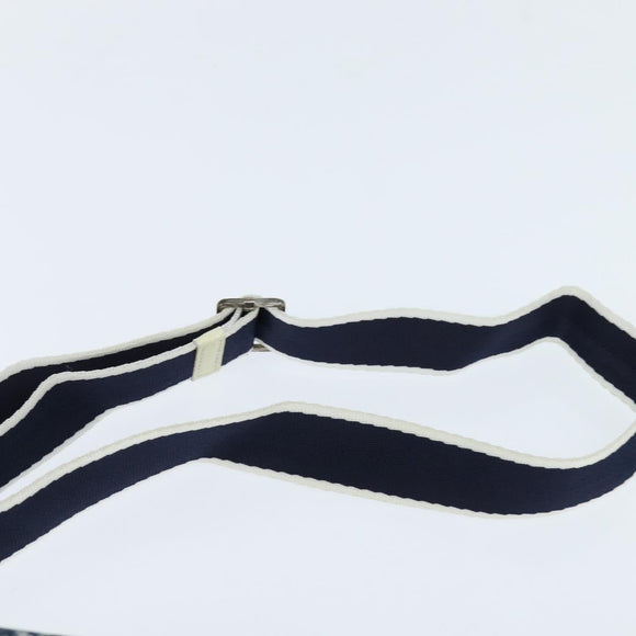 Christian Dior Trotter Canvas Shoulder Bag PVC Blue Silver Auth 150753