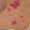 LOUIS VUITTON Monogram Speedy 40 Hand Bag M41522 LV Auth 151245-19