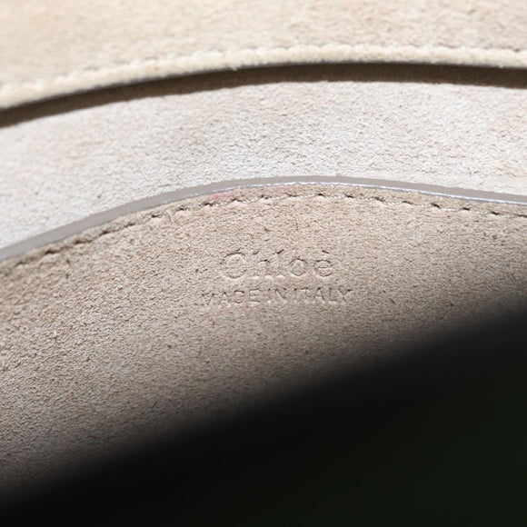 Chloe Pixy Hand Bag Leather Suede 2way Green Gold Auth 151257