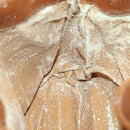 GUCCI Bamboo Shoulder Bag Leather 2way Brown Gold 001 0166 1638 Auth 151675-18