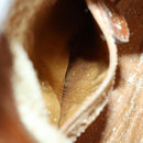 GUCCI Bamboo Shoulder Bag Leather 2way Brown Gold 001 0166 1638 Auth 151675-20