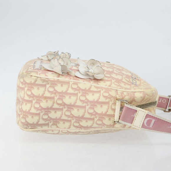 Christian Dior Trotter Canvas Shoulder Bag Pink Silver Auth 151952