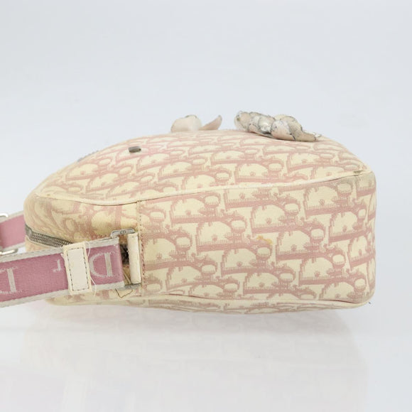 Christian Dior Trotter Canvas Shoulder Bag Pink Silver Auth 151952