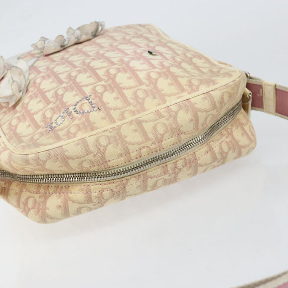 Christian Dior Trotter Canvas Shoulder Bag Pink Silver Auth 151952
